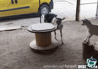 Drehscheibe Drehscheibe