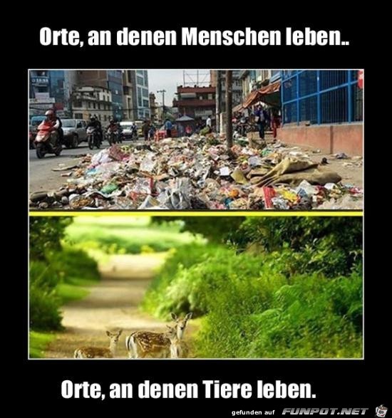 Traurig aber wahr Traurig aber wahr