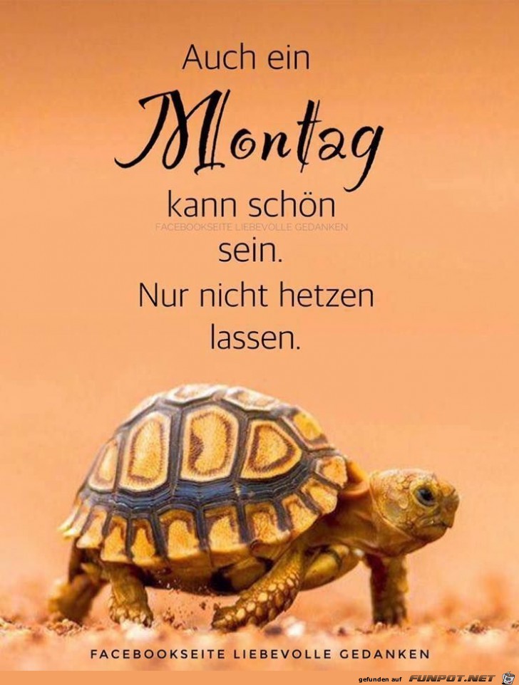 Montag Montag