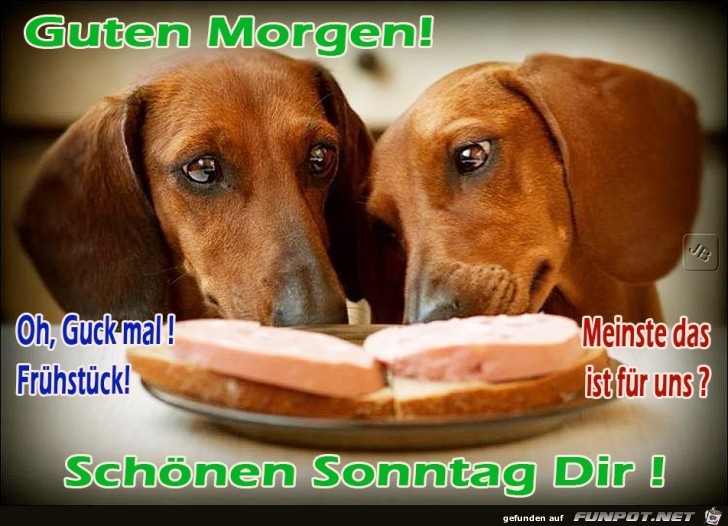 Sonntag Sonntag