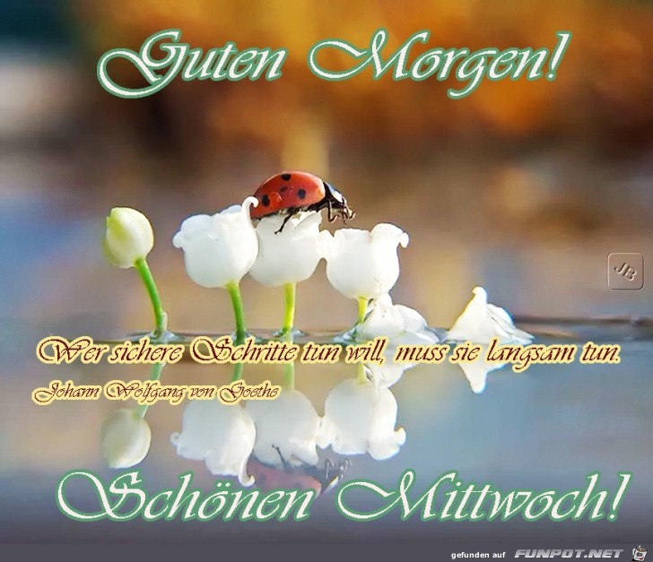 Mittwoch Mittwoch
