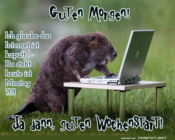 Montag Montag