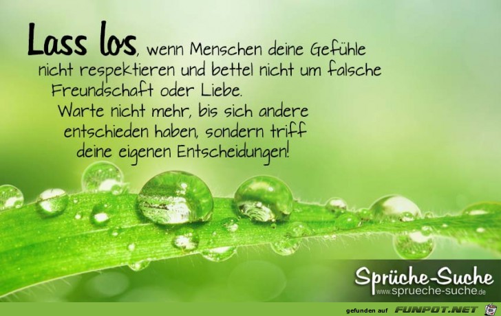 10 schne Sprche und Lebensweisheiten aus...