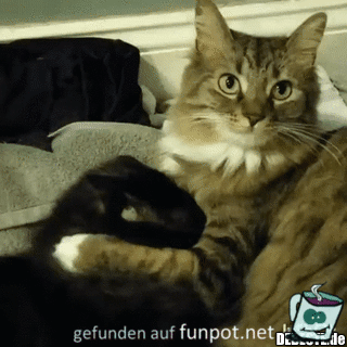 Hier geblieben Hier geblieben