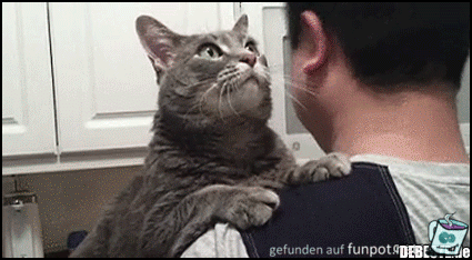 Sehr lieb Sehr lieb