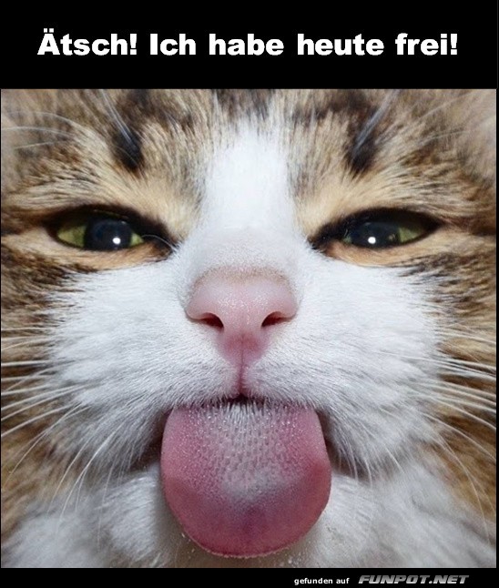 Ätsch Ätsch
