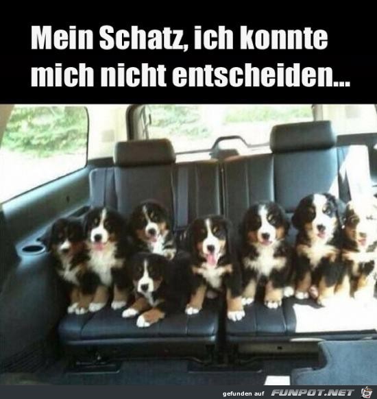 Kann ich verstehen Kann ich verstehen