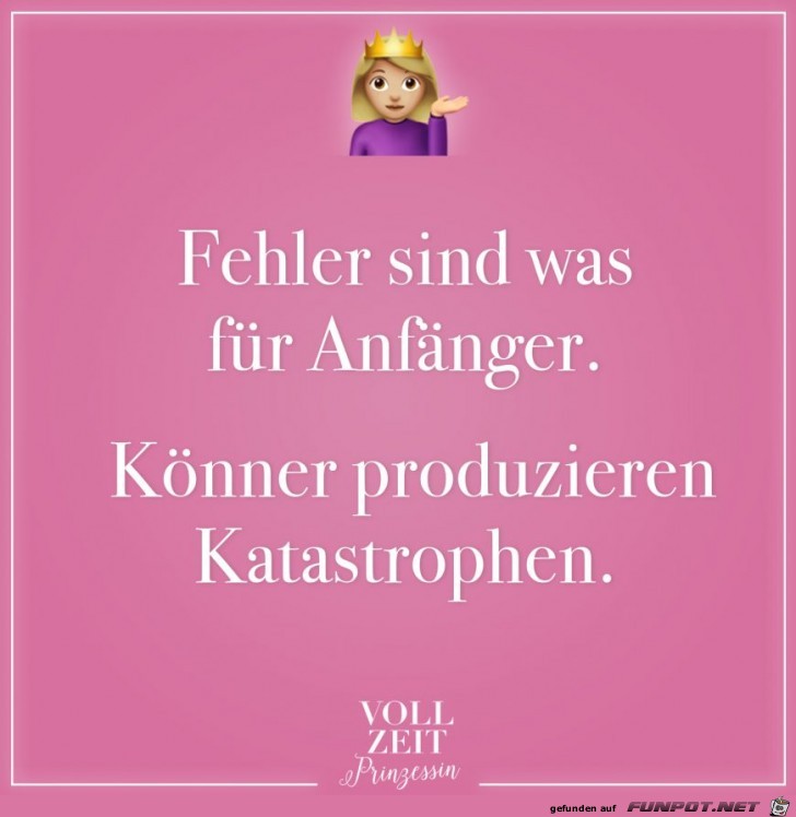 Fehler sind was fuer Anfaenger Fehler sind was fuer Anfaenger