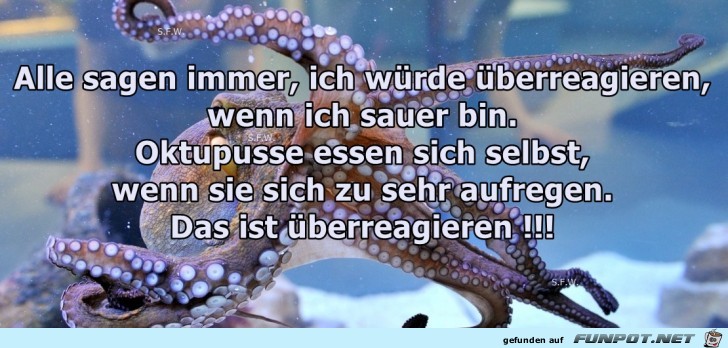 Alle sagen immer ich wuerde Alle sagen immer ich wuerde