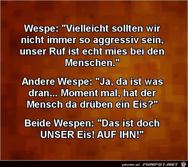 Wespen unterhalten sich Wespen unterhalten sich