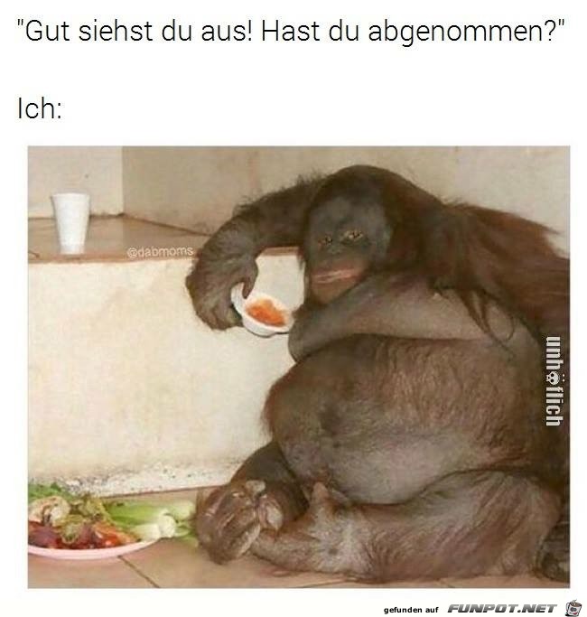 Gut siehst du aus