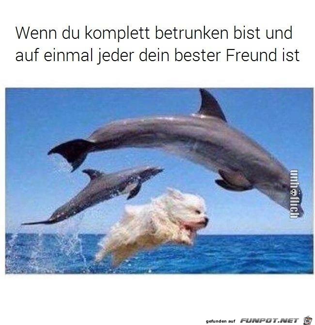 Wenn du komplett betrunken bist...