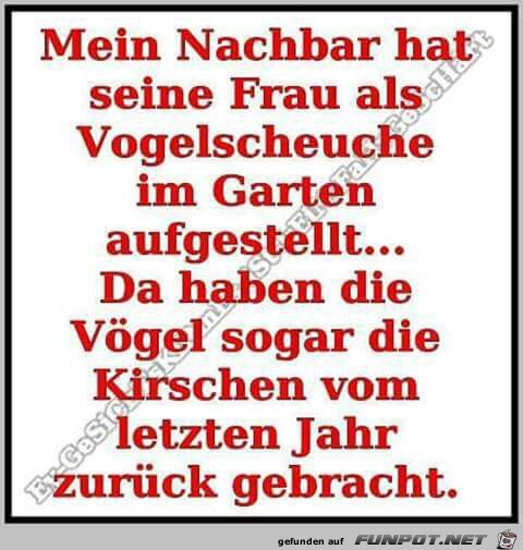 Mein Nachbar hat seine Frau... Mein Nachbar hat seine Frau...