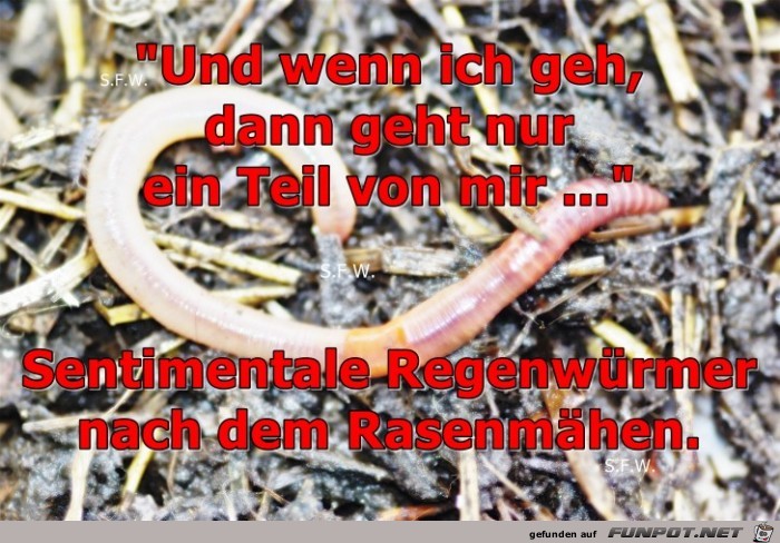 Und wenn ich geh Und wenn ich geh
