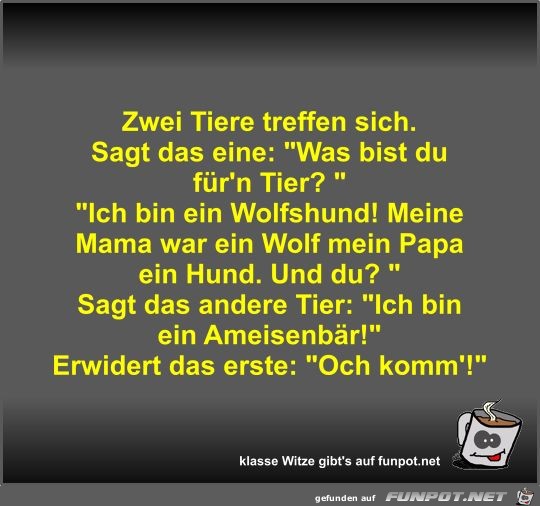 Zwei Tiere treffen sich Zwei Tiere treffen sich