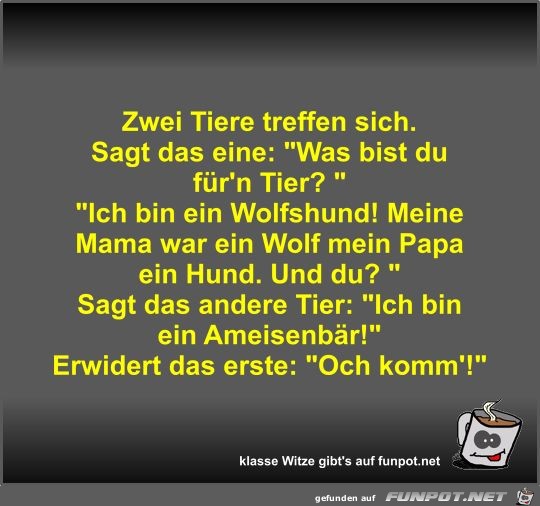 Zwei Tiere treffen sich