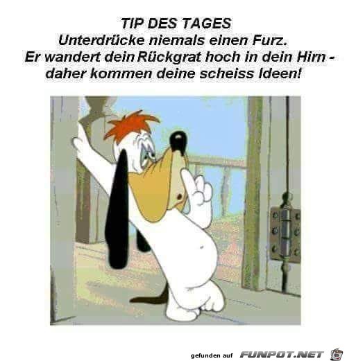 Tip des Tages Tip des Tages