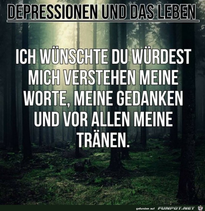 Verstehen Verstehen