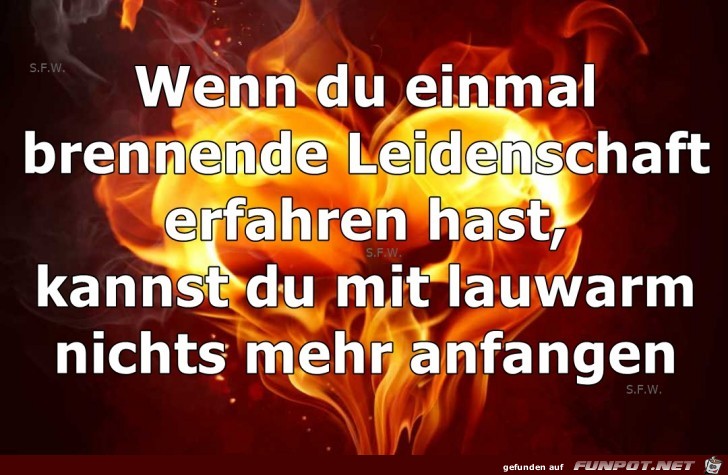 Wenn du Wenn du