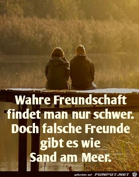 Wahre Freundschaft Wahre Freundschaft
