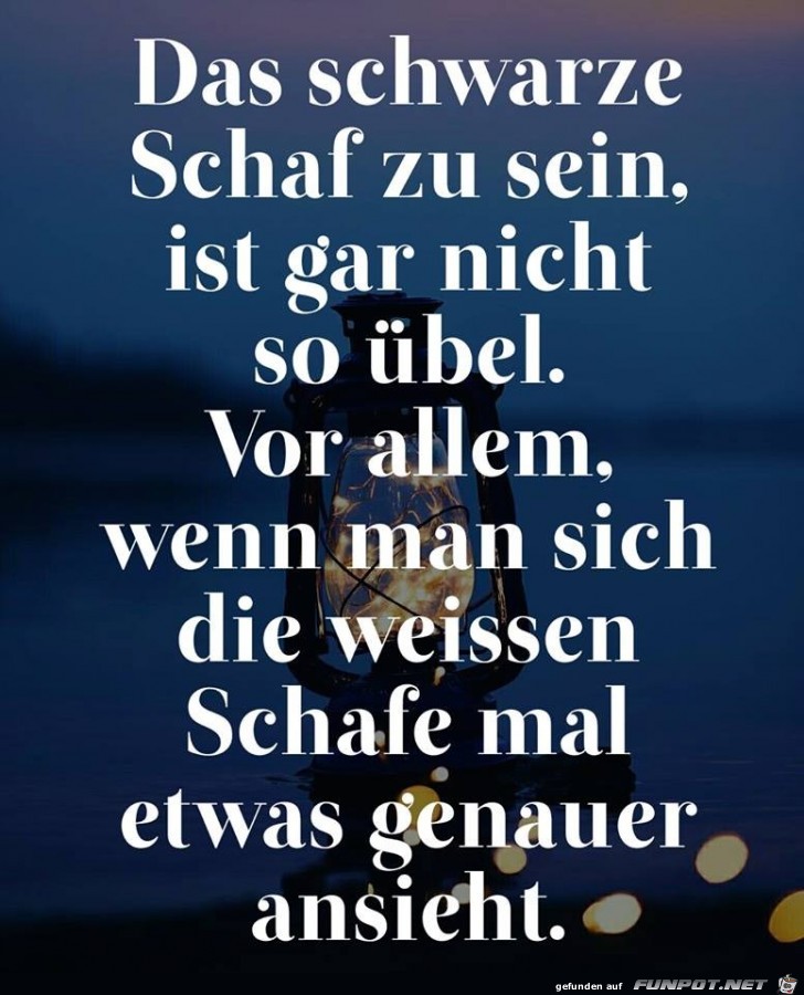 Das schwarze Schaf Das schwarze Schaf
