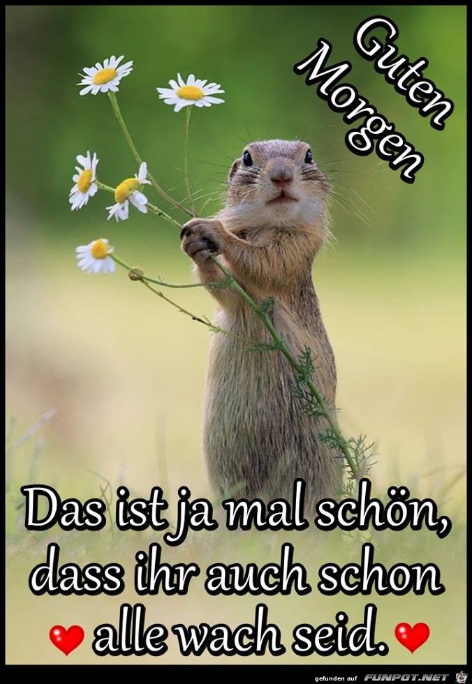 Das ist ja mal schoen Das ist ja mal schoen