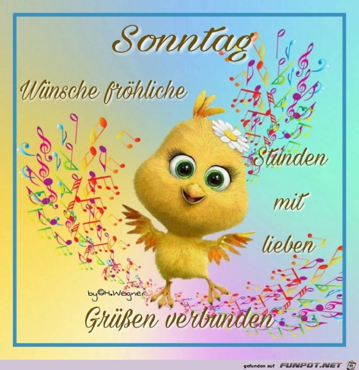 Sonntag- - Sonntag- -