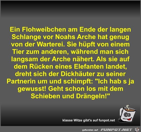 Ein Flohweibchen am Ende der langen Schlange vor Noahs... Ein Flohweibchen am Ende der langen Schlange vor Noahs...