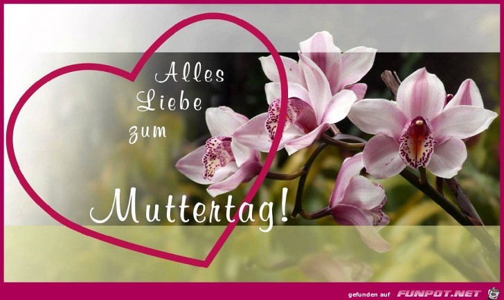 Alles liebe zum Muttertag!