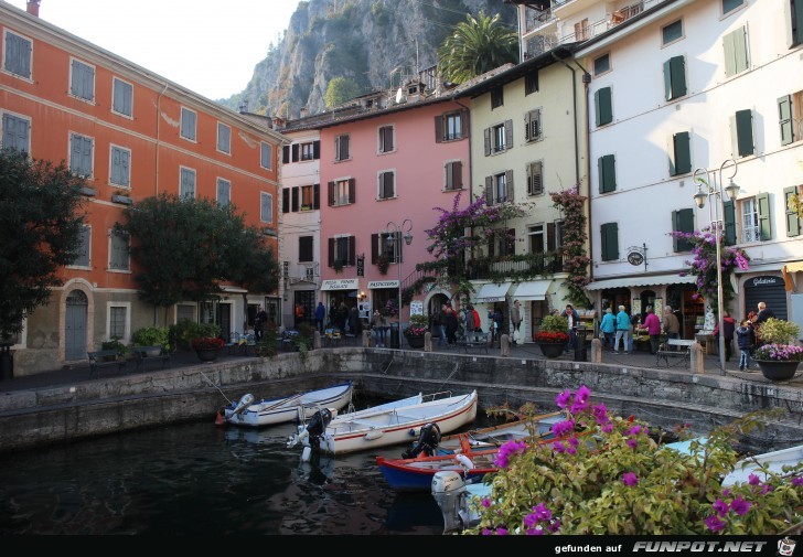 01-75 Limone 01-75 Limone