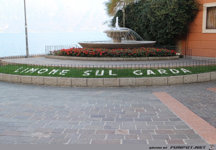 01-77 Limone 01-77 Limone