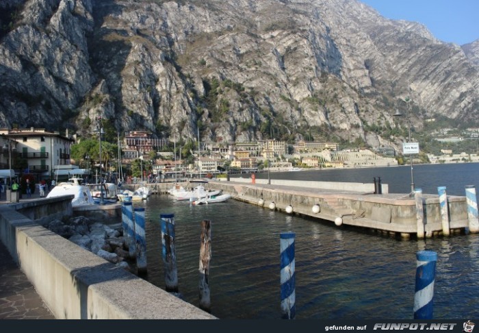 01-82 Limone 01-82 Limone