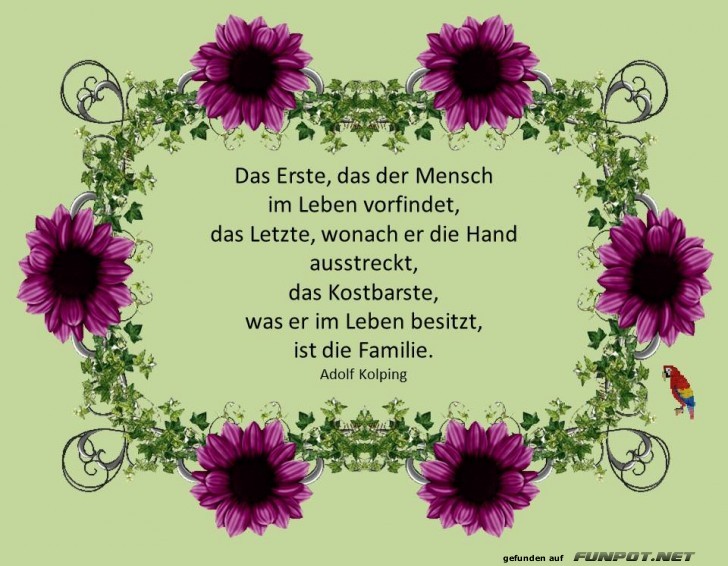 Das Erste Das Erste