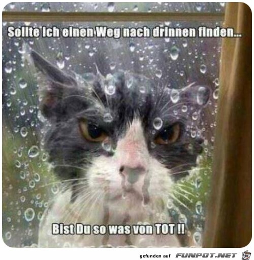 Sollte ich einen Weg... Sollte ich einen Weg...