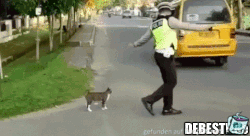 Sehr lieb Sehr lieb