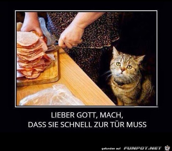 Dieser Blick Dieser Blick