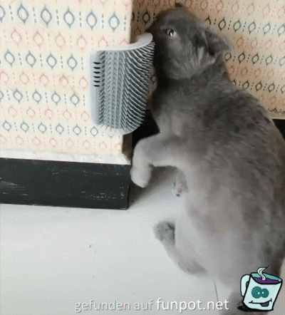Das tut gut Das tut gut