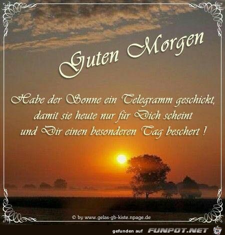 Hab der Sonne