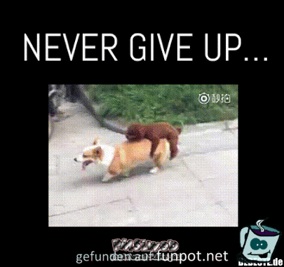 Nie aufgeben