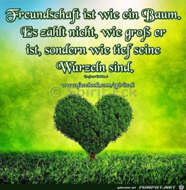 Freundschaft ist wie ein BAUM