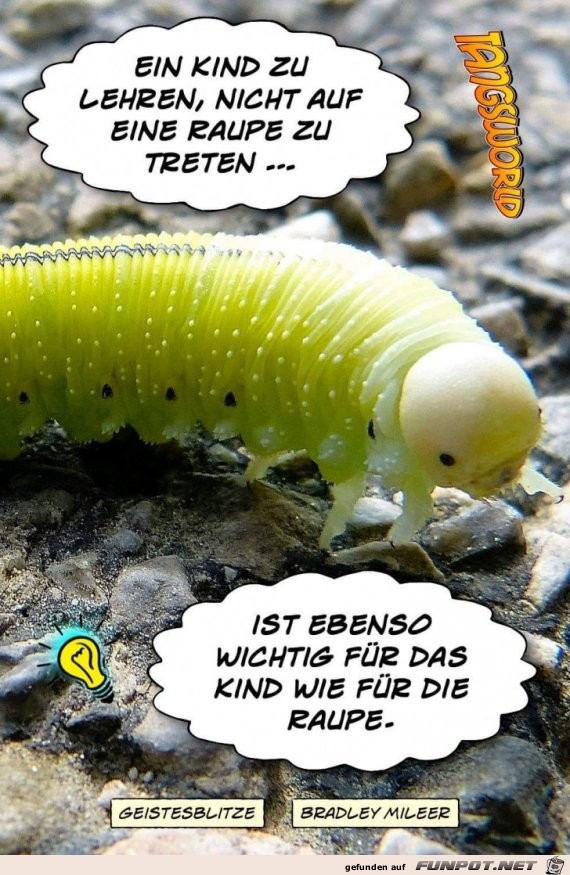 ein kind zu lehren ein kind zu lehren