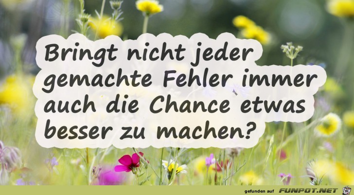 bringt nicht jeder gemachte Fehler....... bringt nicht jeder gemachte Fehler.......