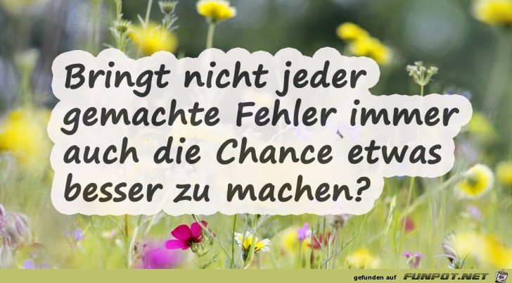 bringt nicht jeder gemachte Fehler.......