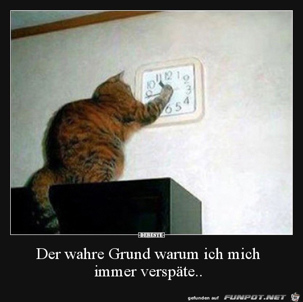 der wahre Grund