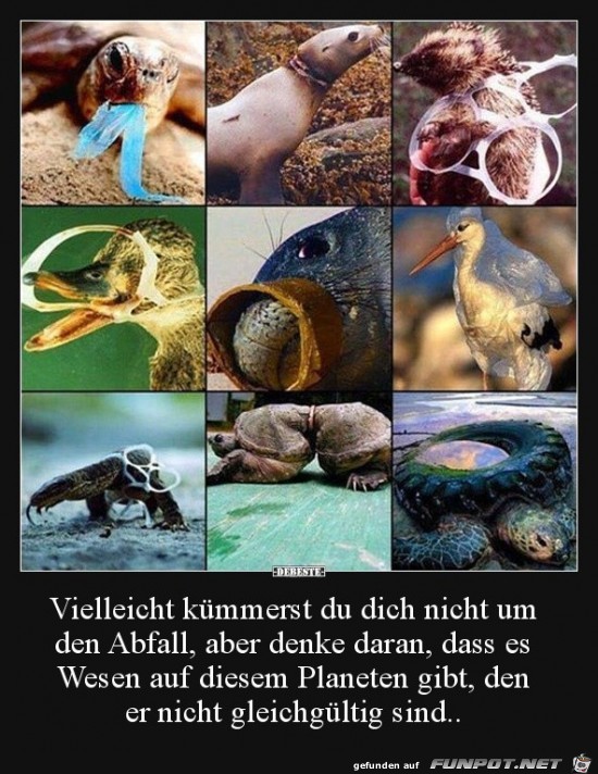 denke dran denke dran