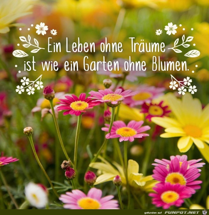 Ein Leben ohne Traeume Ein Leben ohne Traeume