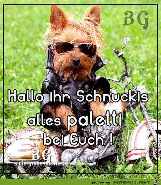 Hallo Schnuckis