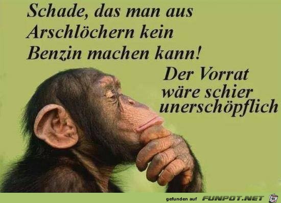Das ist wirklich schade Das ist wirklich schade