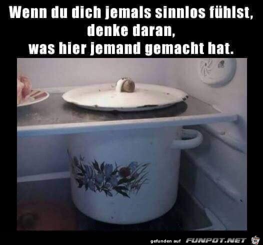 Sehr sinnvoll Sehr sinnvoll