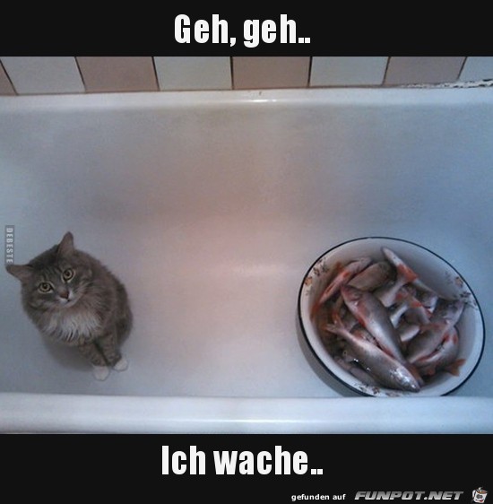 Den Bock zum Gärtner machen Den Bock zum Gärtner machen
